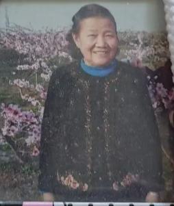 走失者照片 绵阳江油急寻：七旬老太失联，穿紫色...