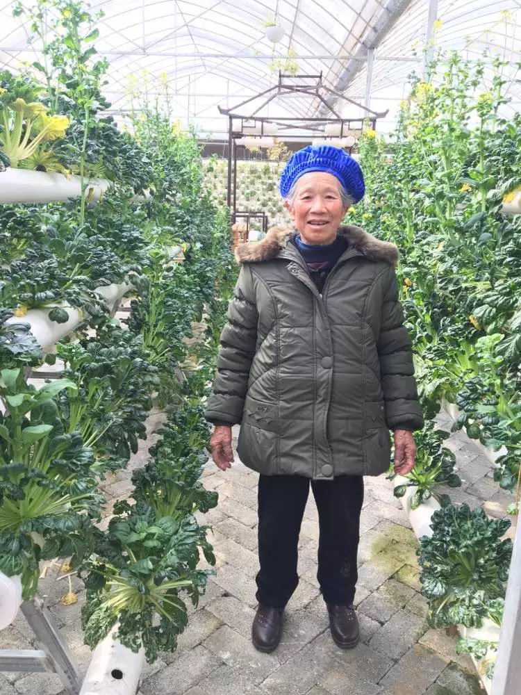 走失者照片 黔西南州急寻：八旬老太失联，戴绿色...