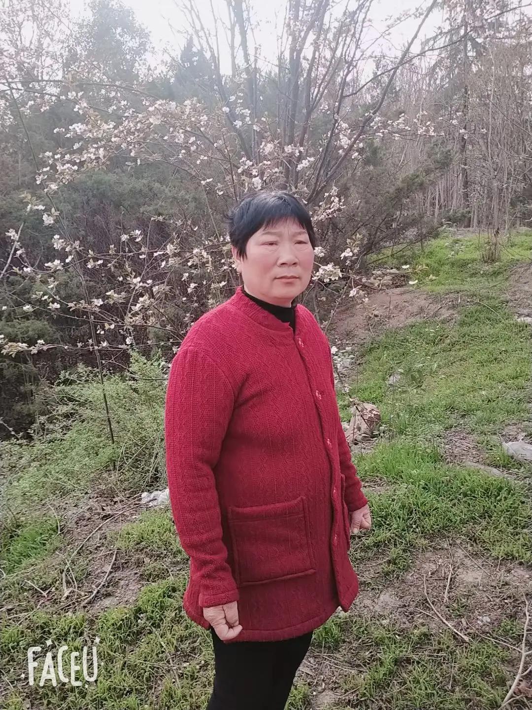 走失者照片 许昌急寻：六旬老太走失，穿红色上衣...