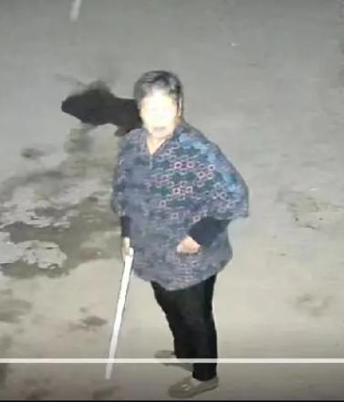 走失者照片 阜阳急寻：六旬老太失联，穿蓝色带花...
