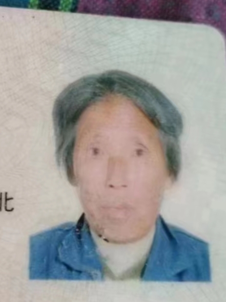走失者照片 沧州急寻：七旬老太失联，穿格纹上衣...
