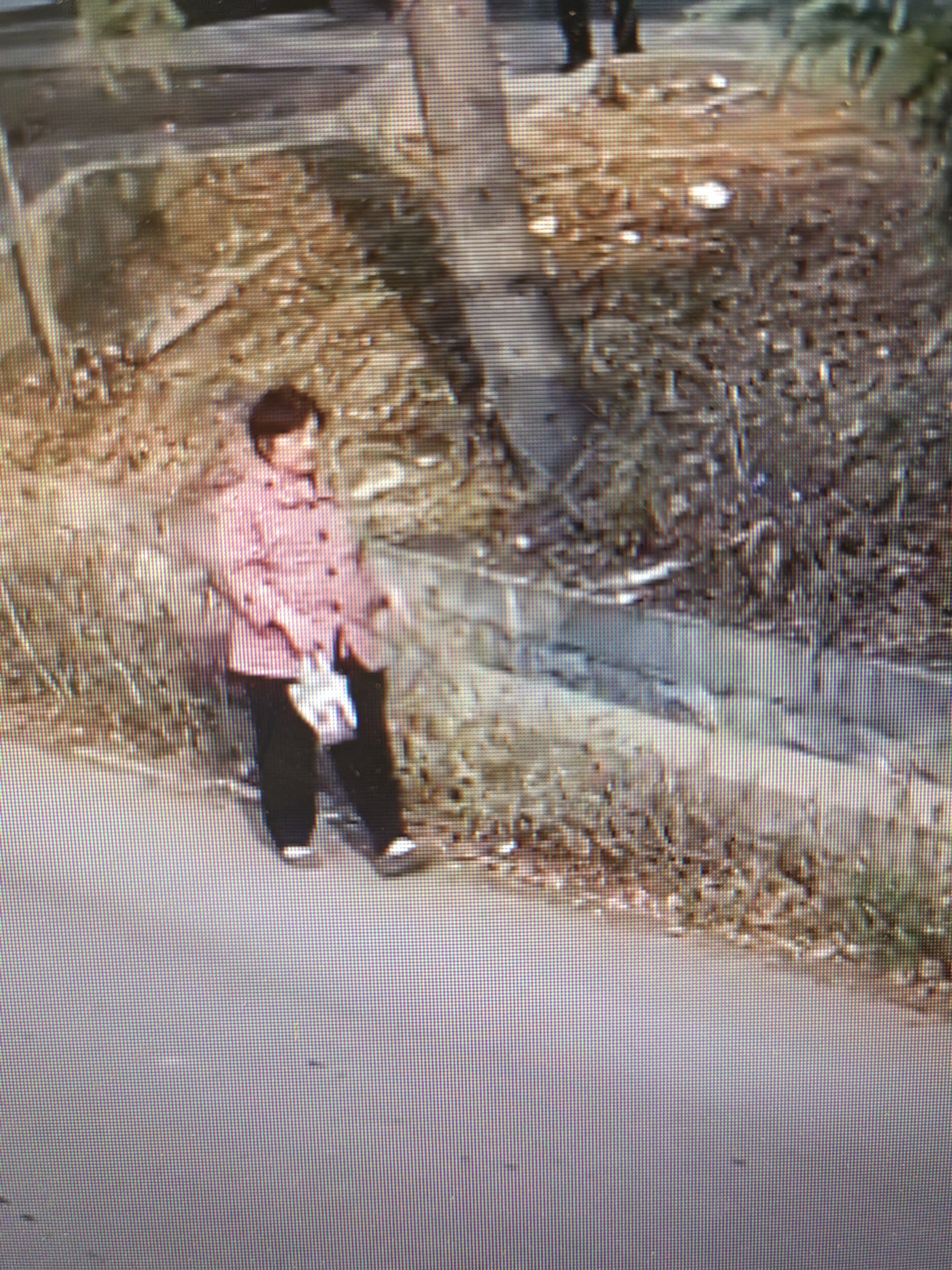 走失者照片 枣庄急寻：五旬女子走失，患自闭症，...