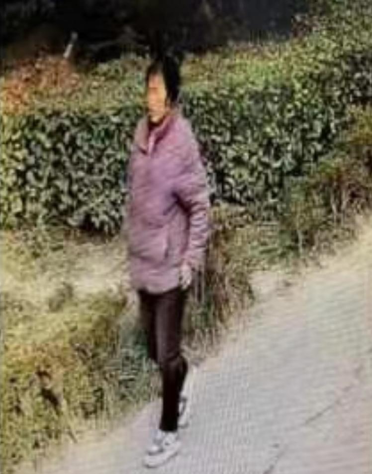 走失者照片 安阳寻人：五旬女子失联，穿紫色薄袄...