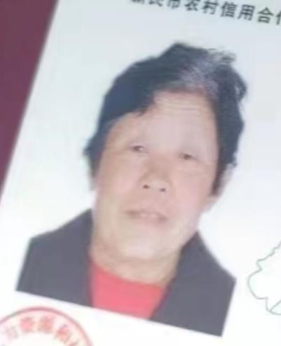 走失者照片 沈阳急寻：七旬老太走失，患脑萎缩，...