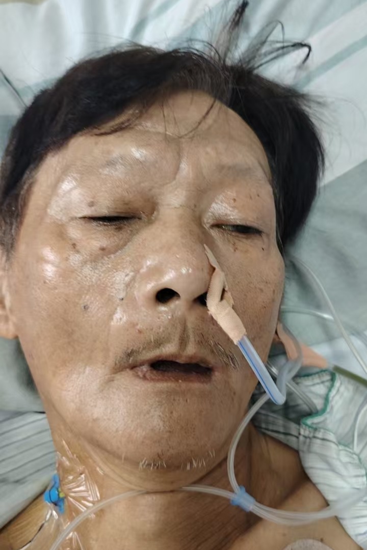 走失者照片 全国救助站