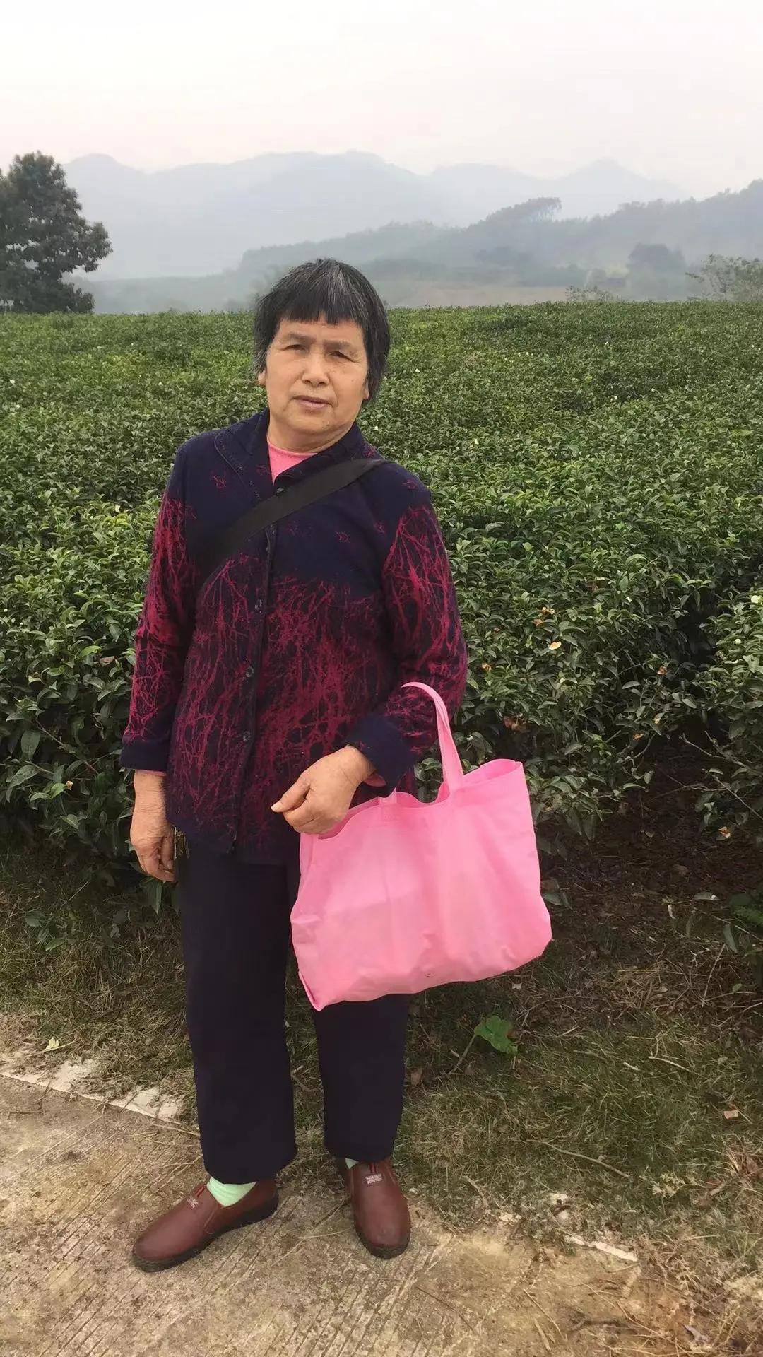 走失者照片 南宁急寻：七旬老太走失，穿紫红色条...