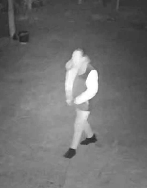 走失者照片 武汉寻人：八旬老人失联，穿黑色带毛...