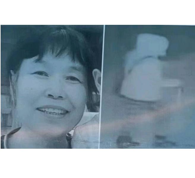 走失者照片 长春寻人：六旬老太失联，穿粉色羽绒...