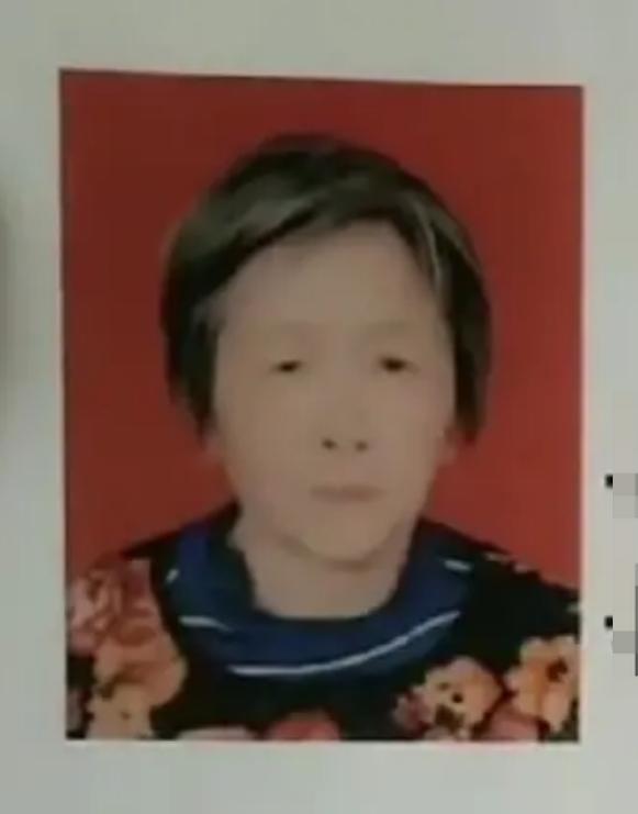 走失者照片 平顶山六旬老太走失，患脑梗塞，穿棕...