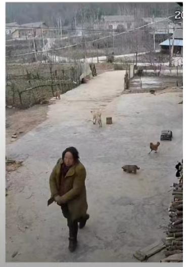 走失者照片 襄阳急寻：六旬聋哑老太走失，穿黄色...