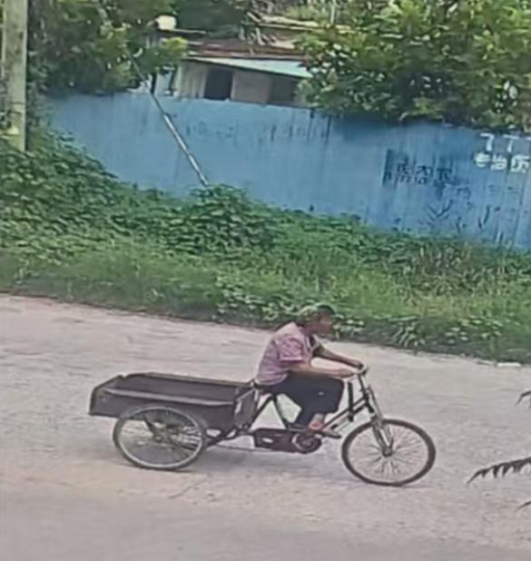 走失者照片 濮阳市寻人：八旬老太走失，穿粉色花...