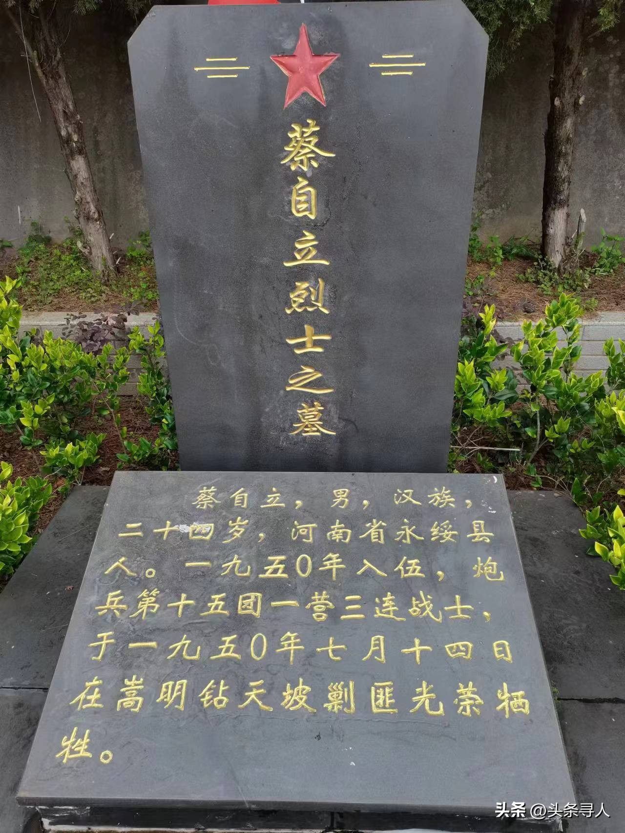 走失者照片 寻湖南湘西籍烈士蔡自立亲人，他长眠...