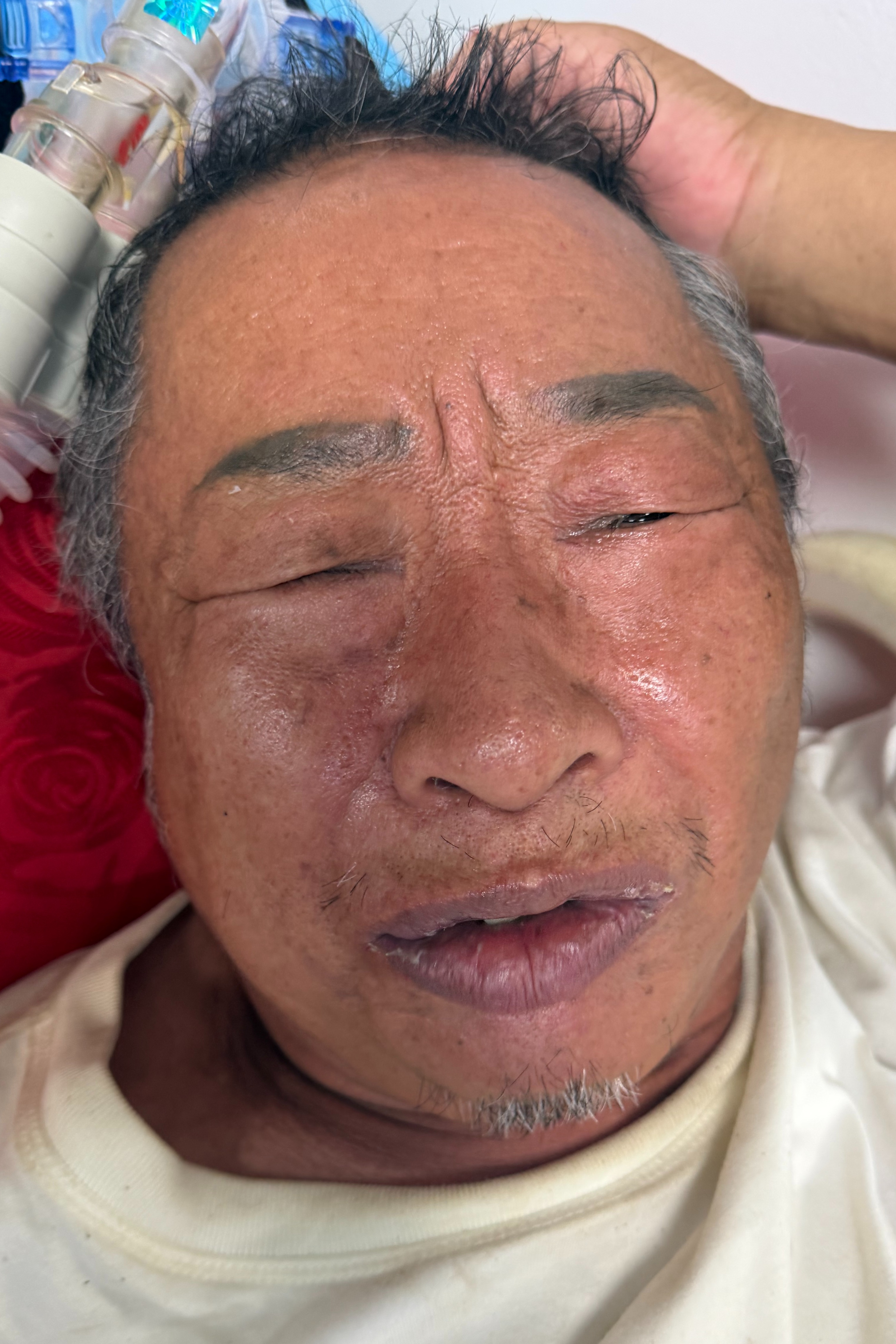 走失者照片 全国救助站