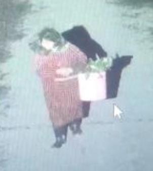 走失者照片 金华急寻：七旬老太走失，穿红色格子...