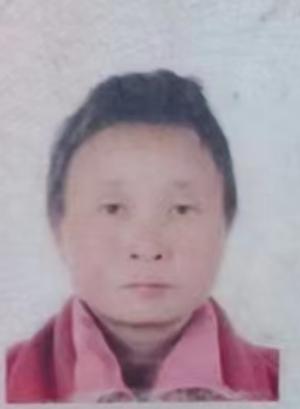 走失者照片 平顶山急寻：中年女子走失，患智力障...