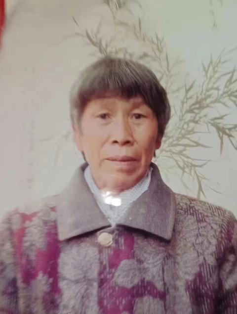 走失者照片 保定寻人：七旬老太失联，骑粉色自行...