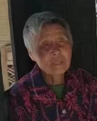 走失者照片 濮阳急寻：七旬老太失联，穿深紫色长...