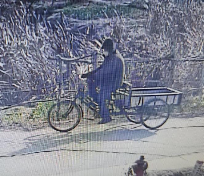 走失者照片 孝感寻人：七旬老人走失，穿灰色棉袄...