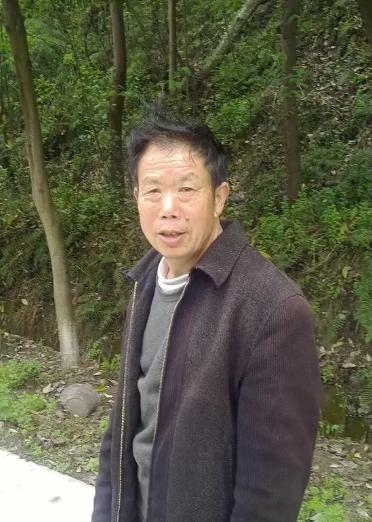 走失者照片 南充急寻：七旬老人走失，穿灰绿色羽...