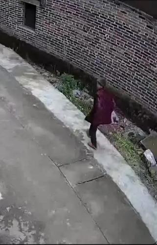 走失者照片 紧急寻人：贺州九旬老太失联，戴绿色...