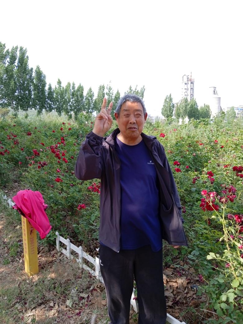 走失者照片 焦作急寻：七旬老人走失，患脑梗后遗...