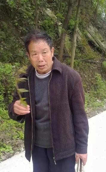 走失者照片 南充急寻：七旬老人走失，穿灰绿色羽...