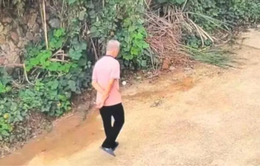 走失者照片 龙岩市寻人：六旬老人走失，穿粉色短...