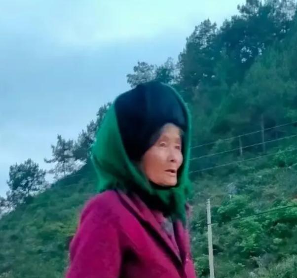 走失者照片 毕节急寻：七旬老太走失，穿绿色上衣...