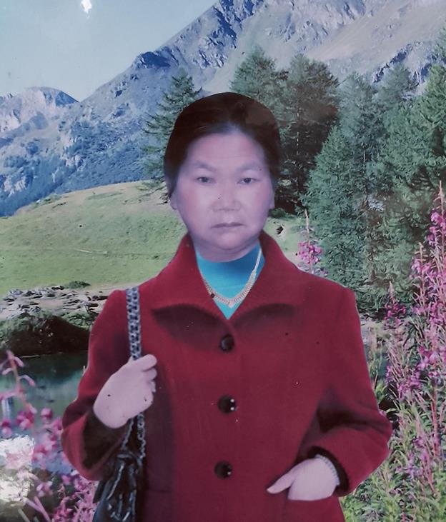 走失者照片 南阳寻人：六旬老太走失，精神异常，...