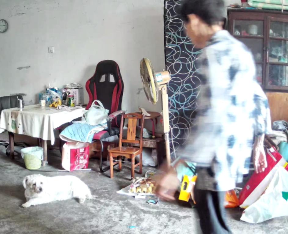 走失者照片 合肥市寻人：八旬老太走失，穿白底黑...
