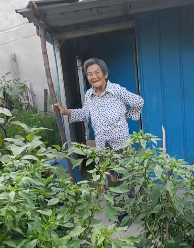 走失者照片 孝感市寻人：七旬老太走失，穿白底黑...