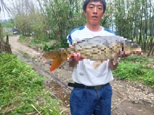 走失者照片 家人寻亲