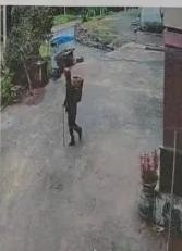 走失者照片 达州急寻：七旬老人走失，患脑萎缩，...