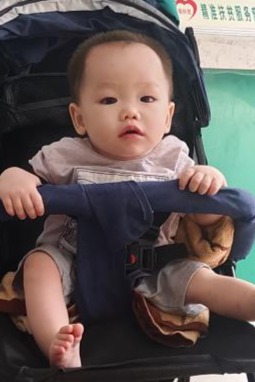 走失者照片 全国救助站
