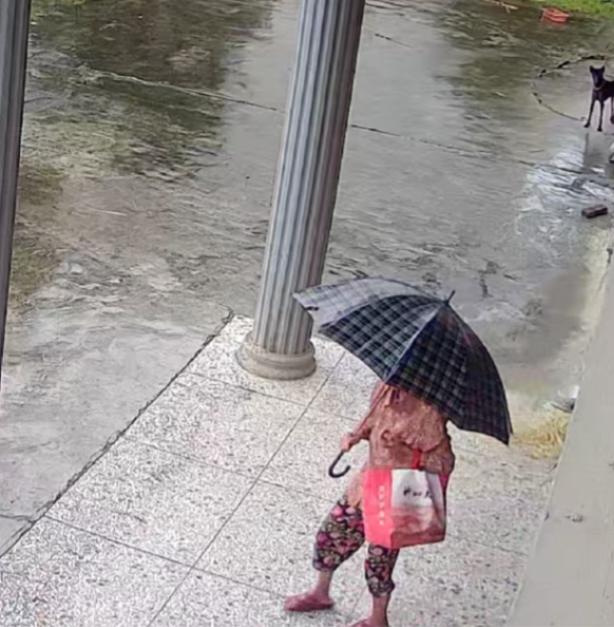 走失者照片 株洲市寻人：七旬老太走失，穿粉色花...