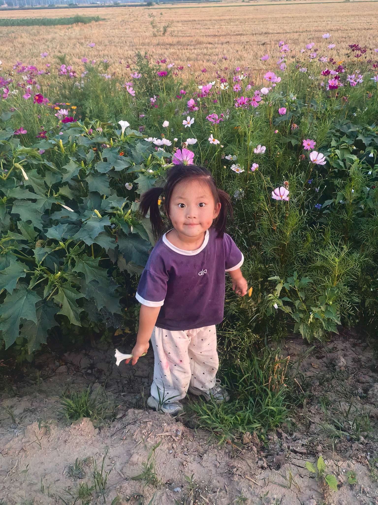 走失者照片 寻找父母亲