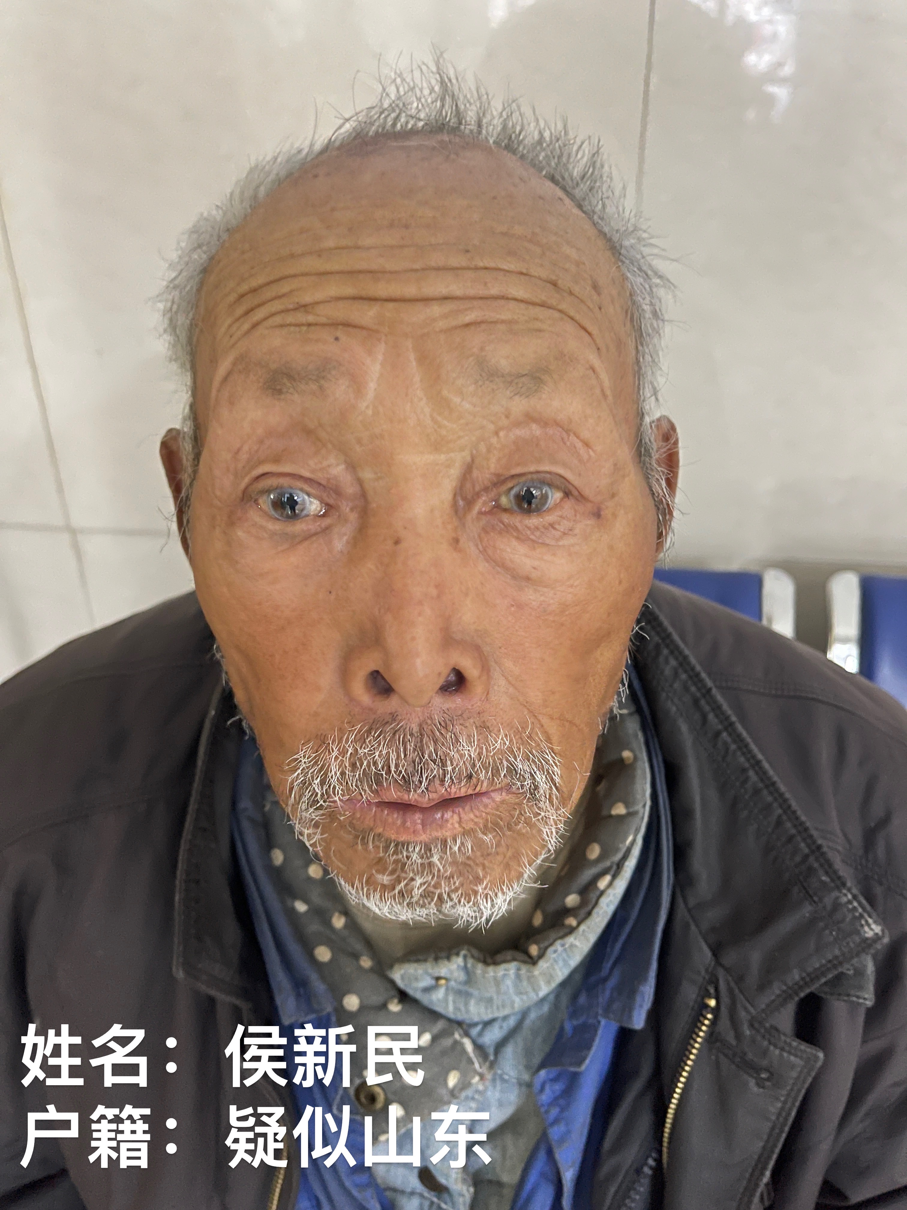 走失者照片 哈尔滨寻亲：七旬老人被救助，自述叫...
