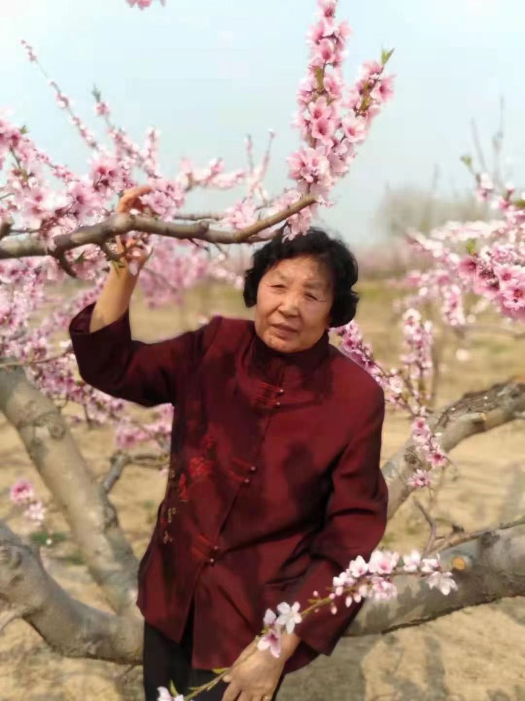 走失者照片 衡水急寻！七旬老太走失，患小脑萎缩...