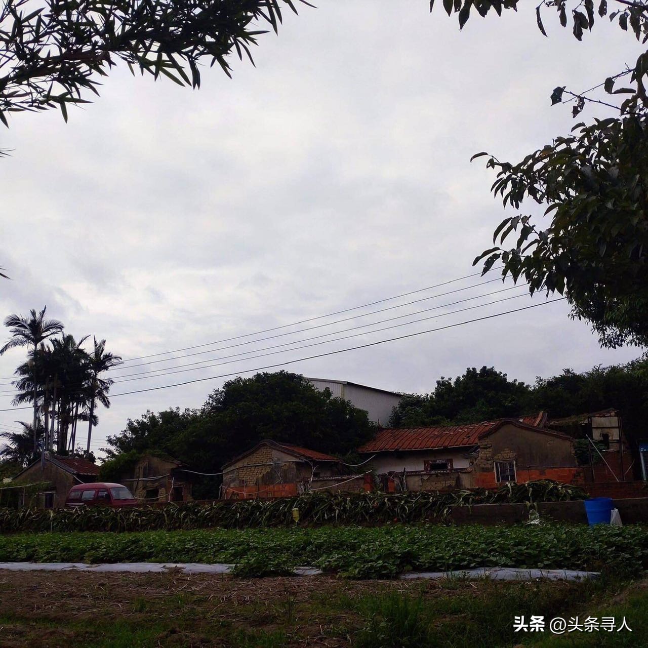 走失者照片 台湾曾姓后人跨海寻亲,长辈早年被过...