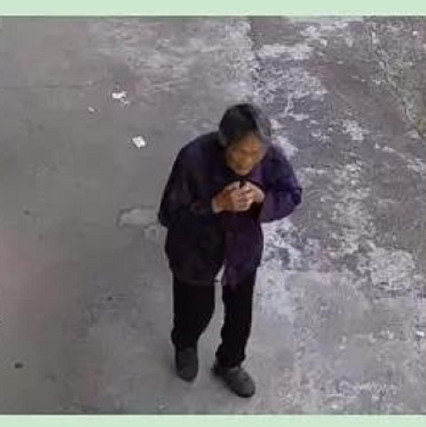 走失者照片 邵阳急寻！九旬老太失联月余，穿紫色...