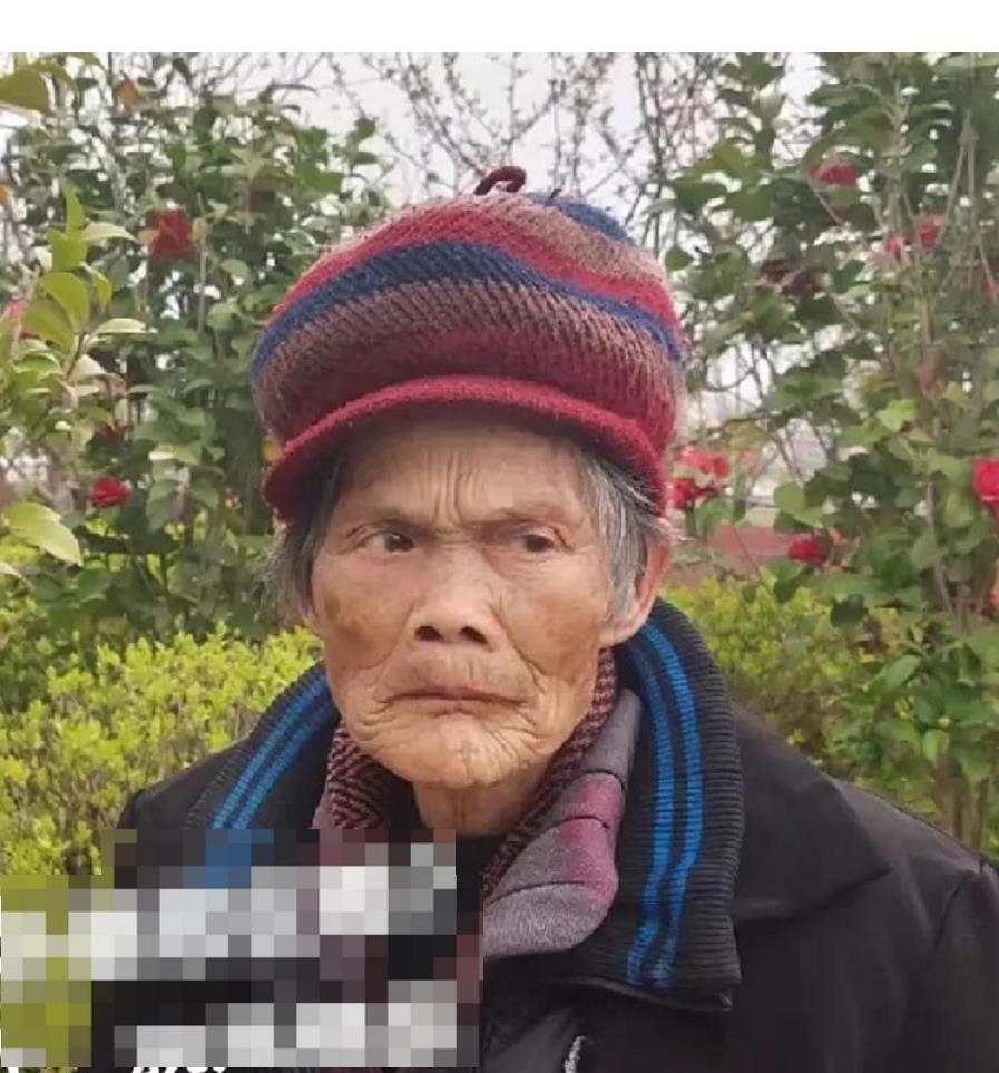 走失者照片 邵阳急寻！九旬老太失联月余，穿紫色...