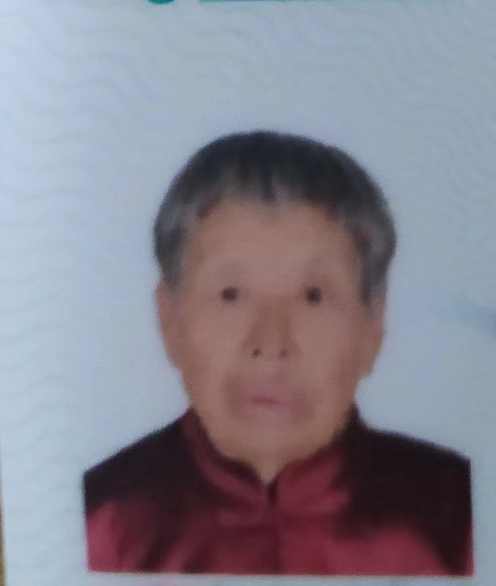 走失者照片 平顶山急寻：八旬老太失联，穿红色上...