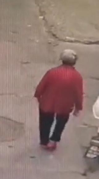 走失者照片 平顶山急寻：八旬老太失联，穿红色上...
