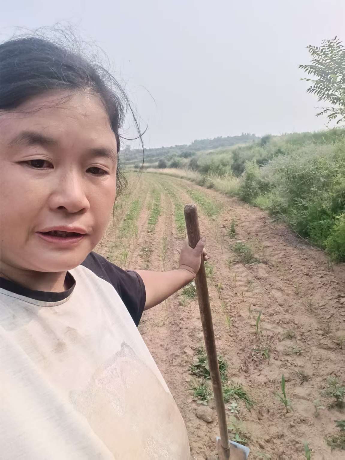 走失者照片 寻找家人