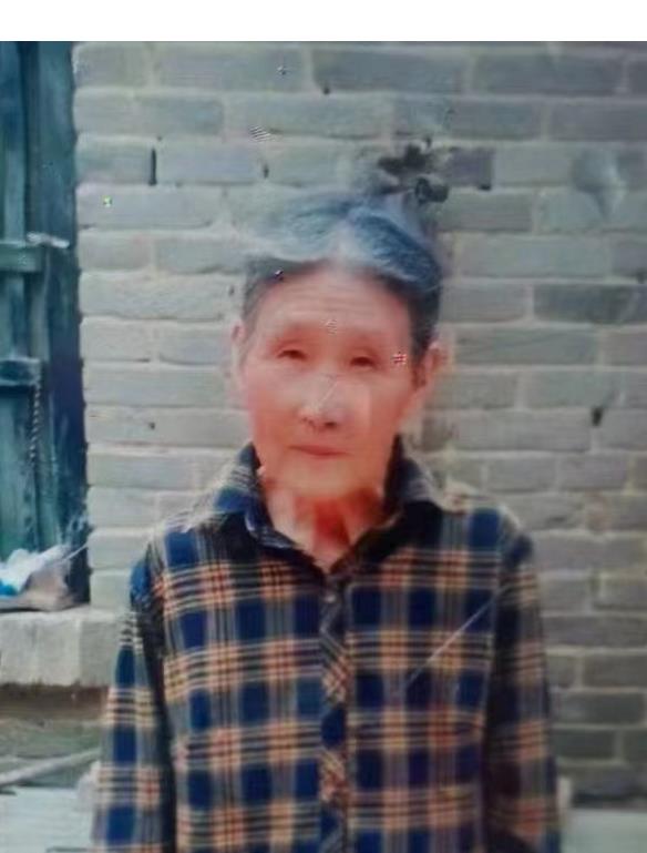 走失者照片 安阳寻人：七旬老太走失，穿红色花棉...