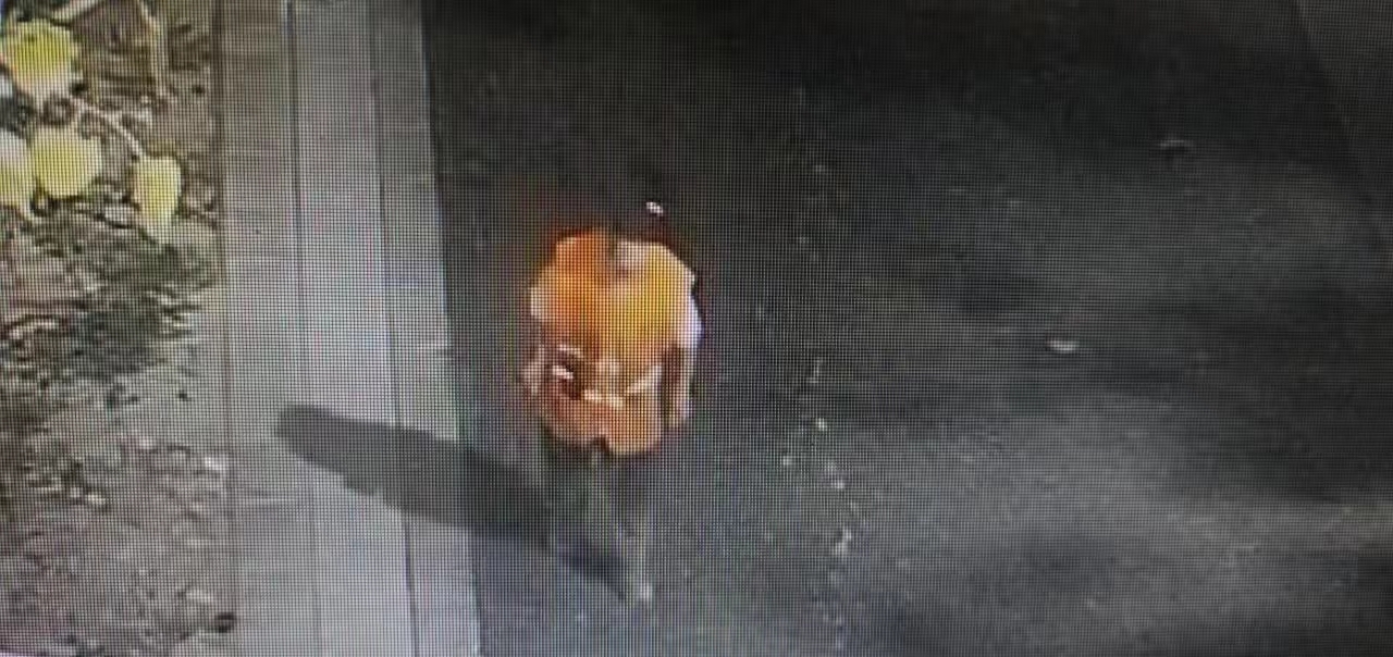 走失者照片 北京急寻：六旬老人走失，智力异常，...