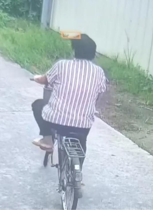 走失者照片 揭阳市寻人：六旬老太走失，穿条纹上...