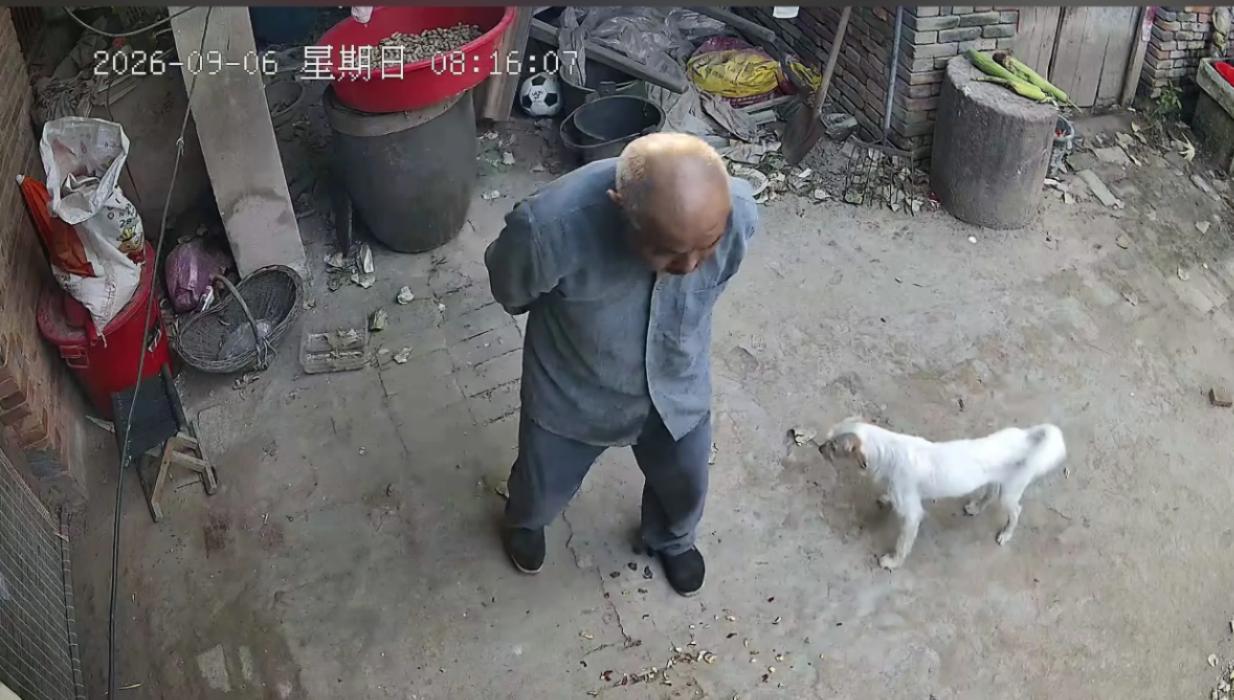 走失者照片 开封市寻人：八旬老人走失，穿灰色衣...