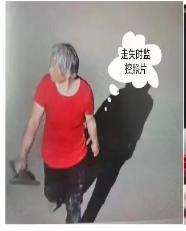 走失者照片 盐城急寻：五旬女子走失，穿红色上衣...