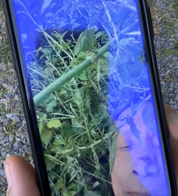 走失者照片 紧急寻人！重庆八旬老人散步时跌落山...